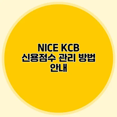 NICE KCB 신용점수 관리 방법 안내