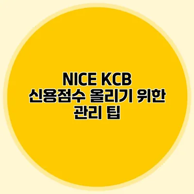 NICE KCB 신용점수 올리기 위한 관리 팁