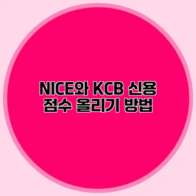 NICE와 KCB 신용 점수 올리기 방법