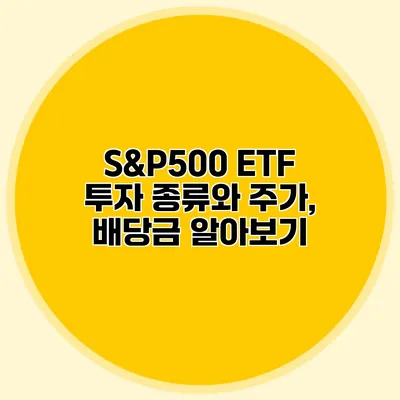 S&P500 ETF 투자 종류와 주가, 배당금 알아보기