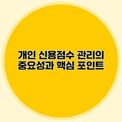 개인 신용점수 관리의 중요성과 핵심 포인트