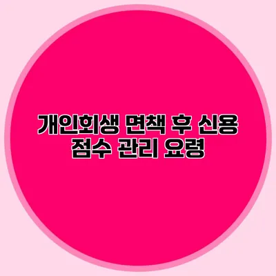 개인회생 면책 후 신용 점수 관리 요령