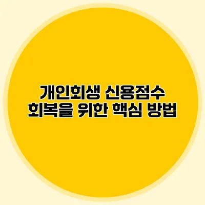 개인회생 신용점수 회복을 위한 핵심 방법