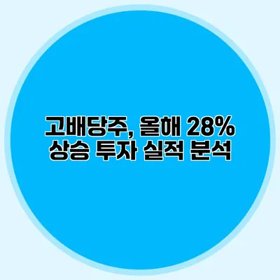 고배당주, 올해 28% 상승 투자 실적 분석