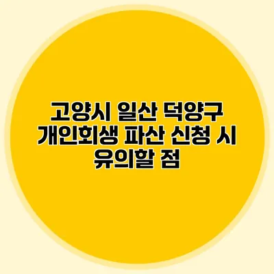 고양시 일산 덕양구 개인회생 파산 신청 시 유의할 점