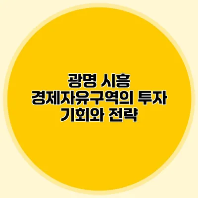 광명 시흥 경제자유구역의 투자 기회와 전략