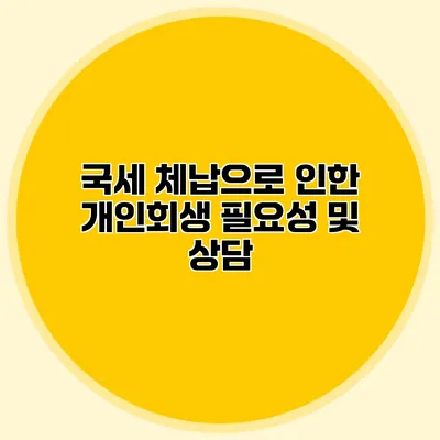 국세 체납으로 인한 개인회생 필요성 및 상담