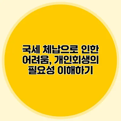 국세 체납으로 인한 어려움, 개인회생의 필요성 이해하기