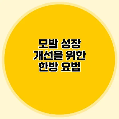 모발 성장 개선을 위한 한방 요법