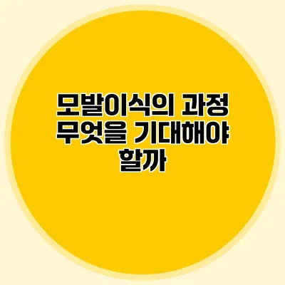 모발이식의 과정 무엇을 기대해야 할까?