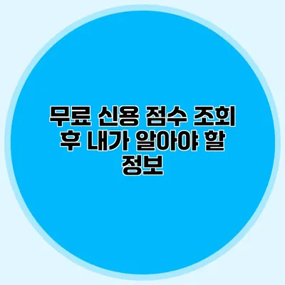 무료 신용 점수 조회 후 내가 알아야 할 정보