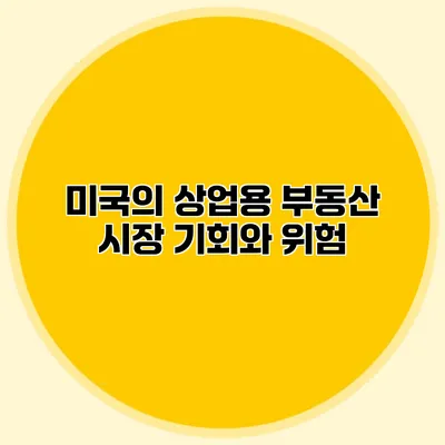 미국의 상업용 부동산 시장 기회와 위험