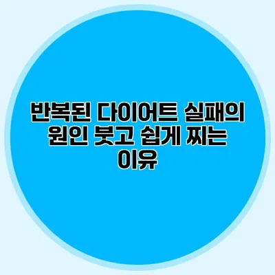 반복된 다이어트 실패의 원인 붓고 쉽게 찌는 이유