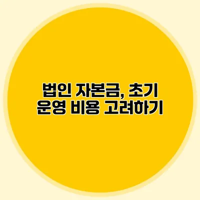 법인 자본금, 초기 운영 비용 고려하기