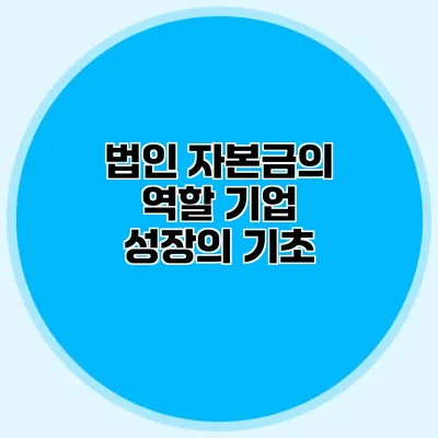 법인 자본금의 역할 기업 성장의 기초