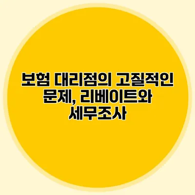 보험 대리점의 고질적인 문제, 리베이트와 세무조사