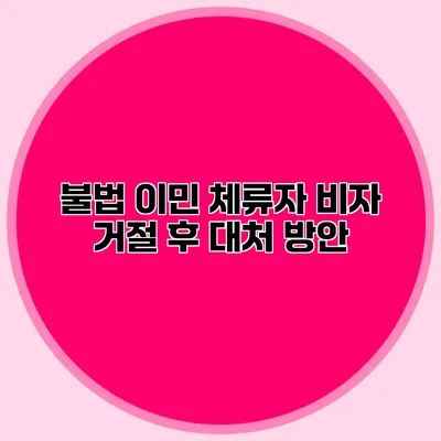 불법 이민 체류자 비자 거절 후 대처 방안