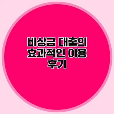 비상금 대출의 효과적인 이용 후기