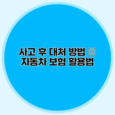 사고 후 대처 방법 – 자동차 보험 활용법