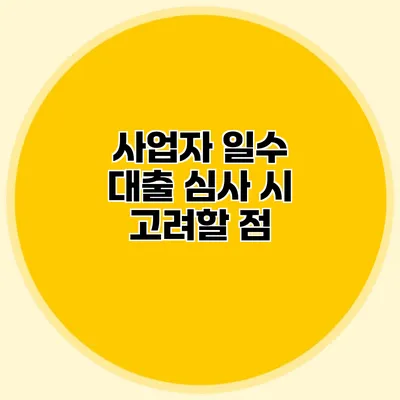 사업자 일수 대출 심사 시 고려할 점