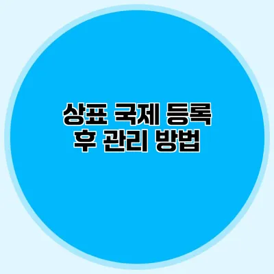 상표 국제 등록 후 관리 방법