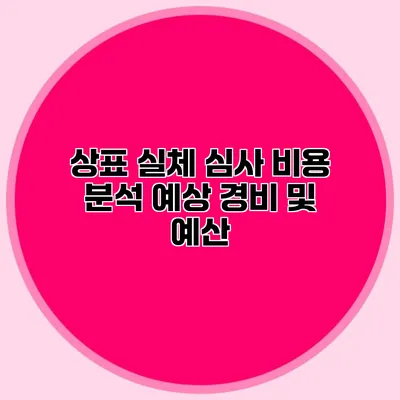 상표 실체 심사 비용 분석 예상 경비 및 예산