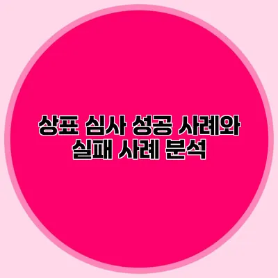 상표 심사 성공 사례와 실패 사례 분석