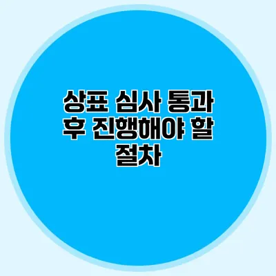 상표 심사 통과 후 진행해야 할 절차