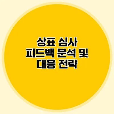 상표 심사 피드백 분석 및 대응 전략