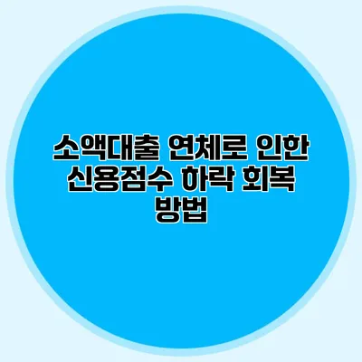 소액대출 연체로 인한 신용점수 하락 회복 방법