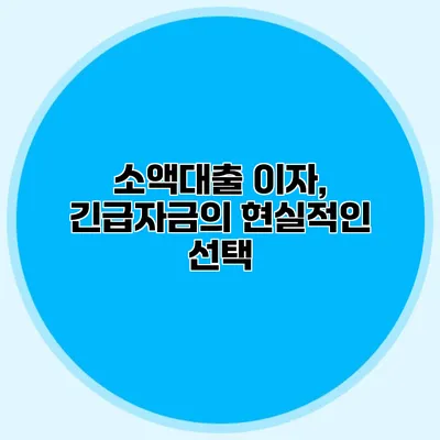 소액대출 이자, 긴급자금의 현실적인 선택