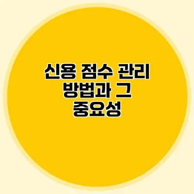 신용 점수 관리 방법과 그 중요성