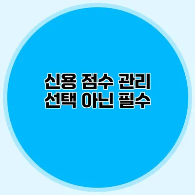신용 점수 관리 선택 아닌 필수