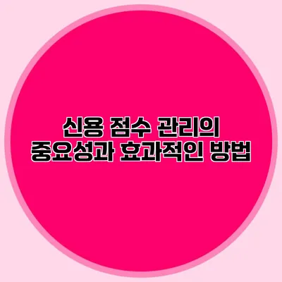 신용 점수 관리의 중요성과 효과적인 방법