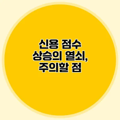 신용 점수 상승의 열쇠, 주의할 점