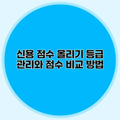 신용 점수 올리기 등급 관리와 점수 비교 방법