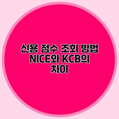 신용 점수 조회 방법 NICE와 KCB의 차이