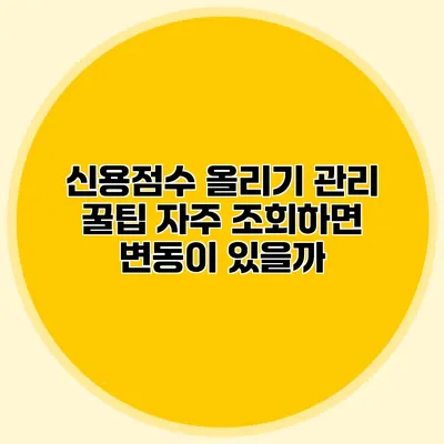 신용점수 올리기 관리 꿀팁 자주 조회하면 변동이 있을까?
