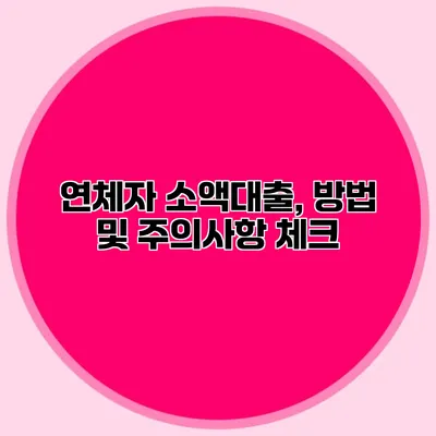 연체자 소액대출, 방법 및 주의사항 체크