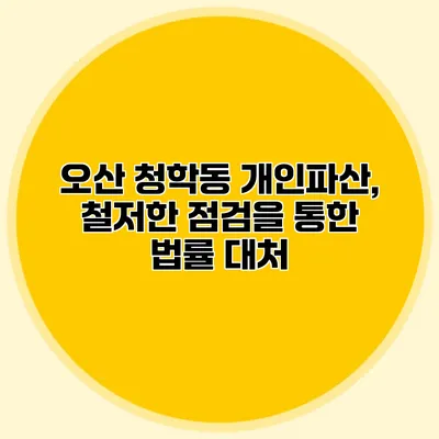 오산 청학동 개인파산, 철저한 점검을 통한 법률 대처