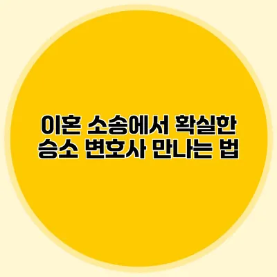 이혼 소송에서 확실한 승소 변호사 만나는 법