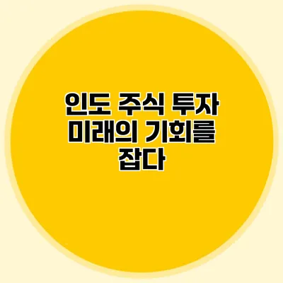 인도 주식 투자 미래의 기회를 잡다