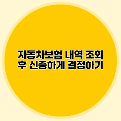 자동차보험 내역 조회 후 신중하게 결정하기