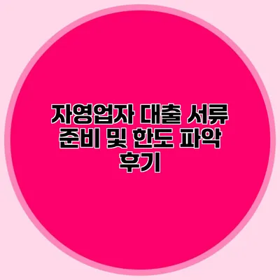 자영업자 대출 서류 준비 및 한도 파악 후기