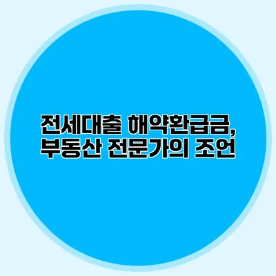 전세대출 해약환급금, 부동산 전문가의 조언