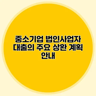 중소기업 법인사업자 대출의 주요 상환 계획 안내