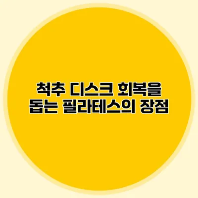 척추 디스크 회복을 돕는 필라테스의 장점