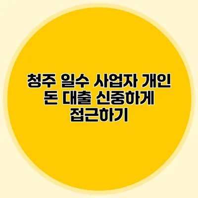 청주 일수 사업자 개인 돈 대출 신중하게 접근하기