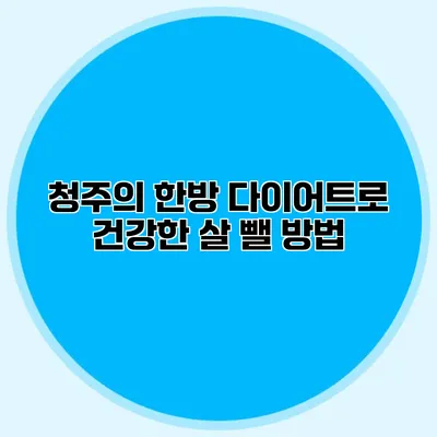 청주의 한방 다이어트로 건강한 살 뺄 방법