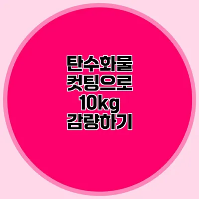 탄수화물 컷팅으로 10kg 감량하기